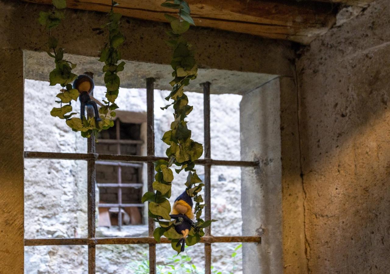 Ambrosia Huesli Hostel Rheinfelden Buitenkant foto